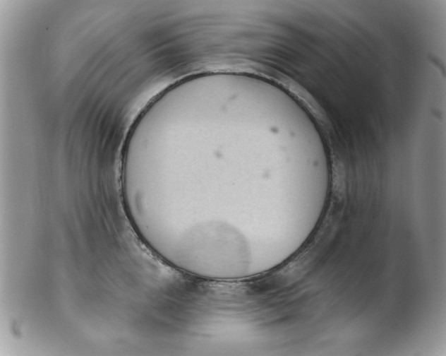 X0000102800856200808181159