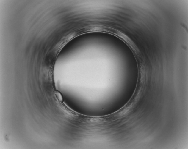 X0000102800857200808181159