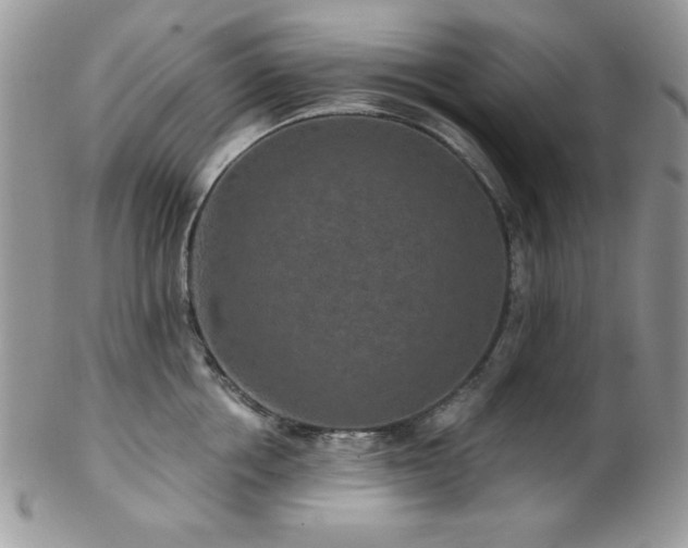 X0000102800858200808181159