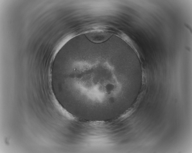 X0000102800859200808181159
