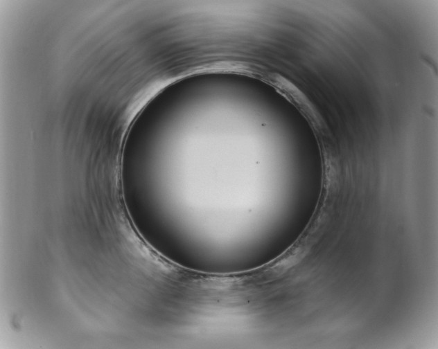 X0000102800860200808181159