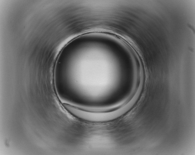 X0000102800862200808181159