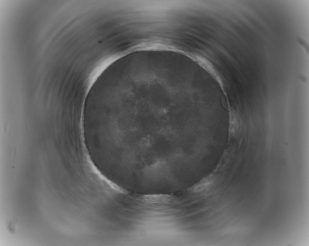 X0000102800863200808181159