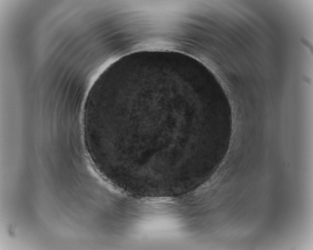 X0000102800864200808181159