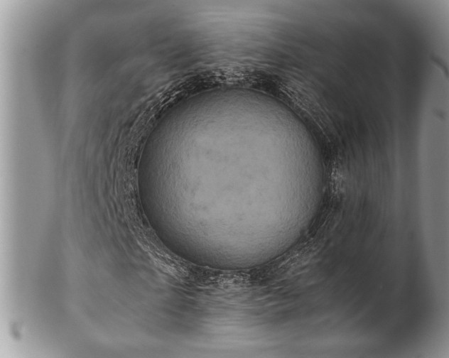 X0000102800865200808181158