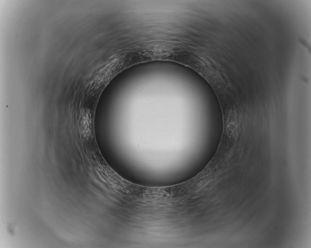 X0000102800866200808181158