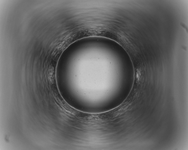 X0000102800867200808181158