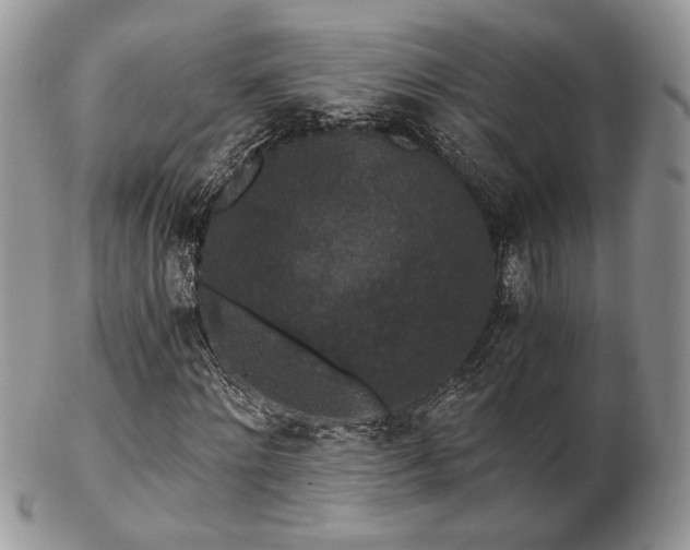 X0000102800868200808181158