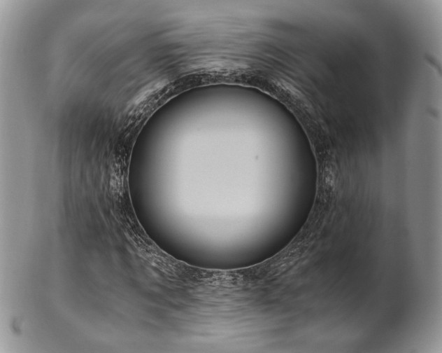 X0000102800869200808181158