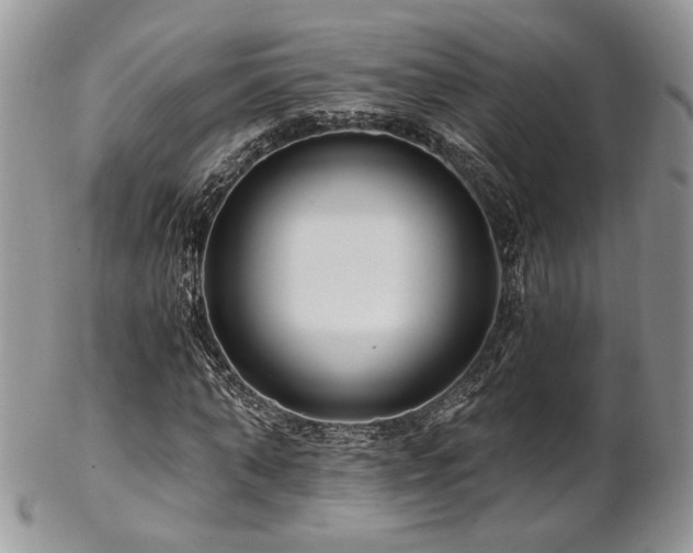 X0000102800870200808181158