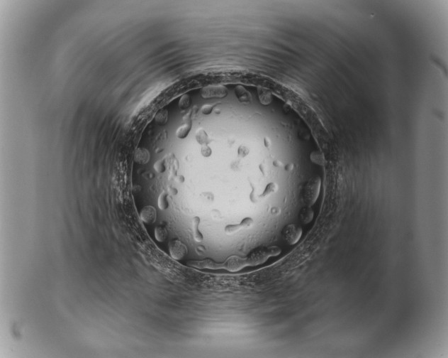 X0000102800871200808181158
