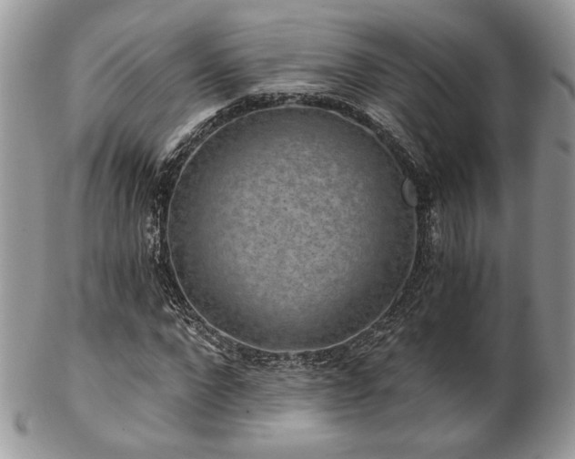 X0000102800872200808181158