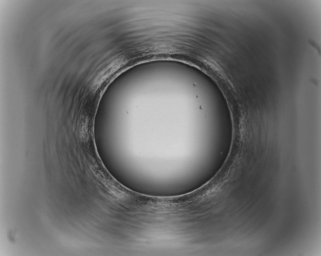 X0000102800873200808181158