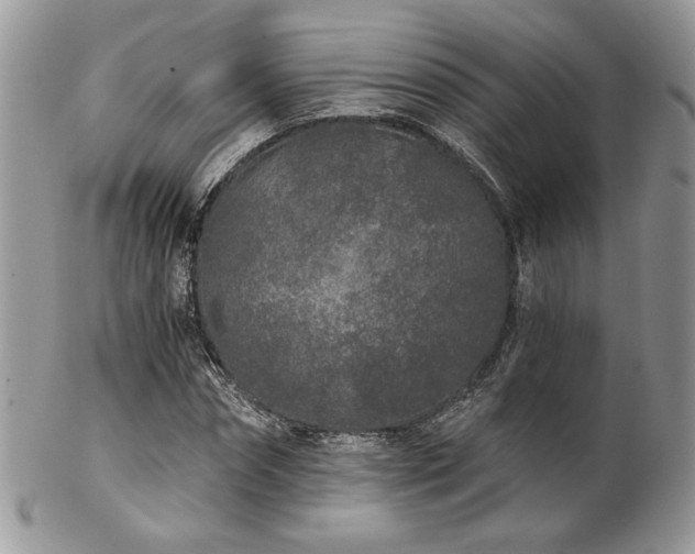 X0000102800874200808181158
