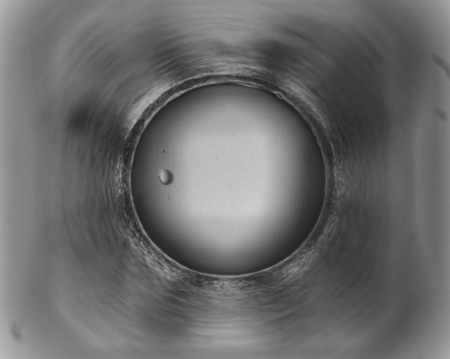 X0000102800875200808181158