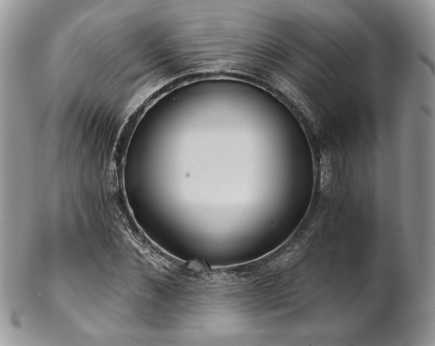 X0000102800876200808181158