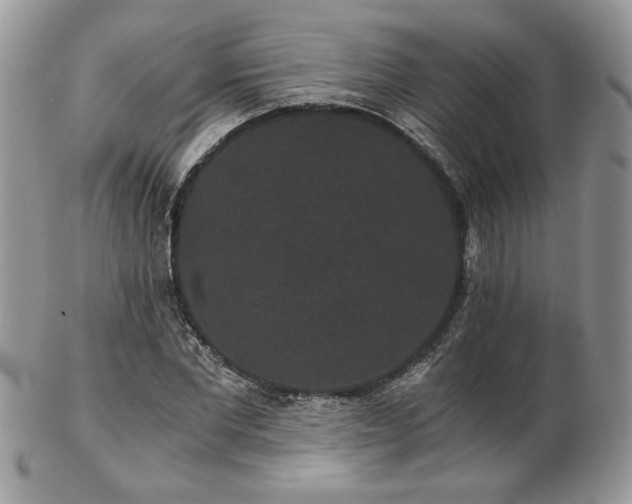 X0000102800877200808181158