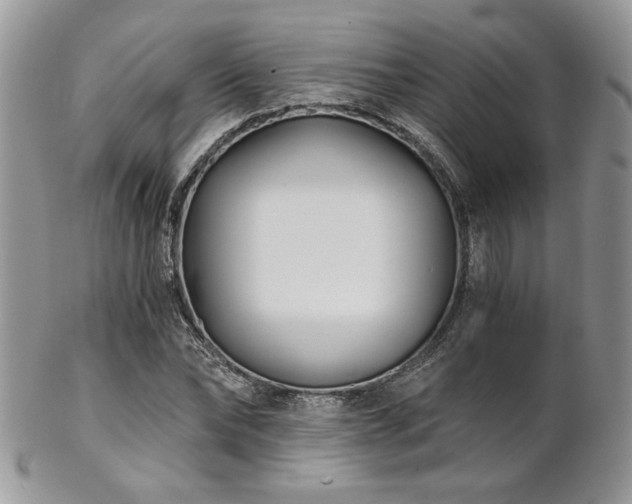 X0000102800878200808181158