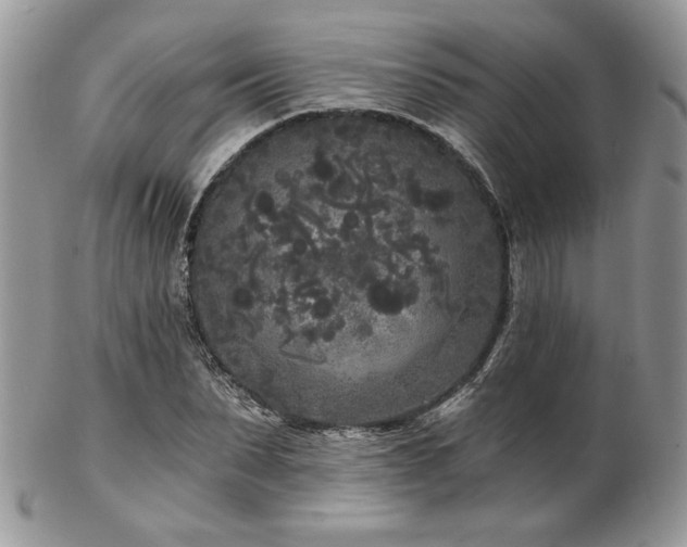 X0000102800879200808181158
