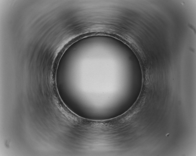 X0000102800880200808181158