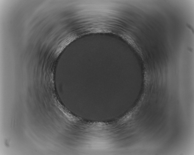 X0000102800881200808181158