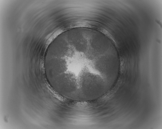 X0000102800882200808181158