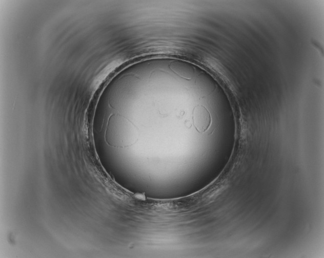 X0000102800883200808181158