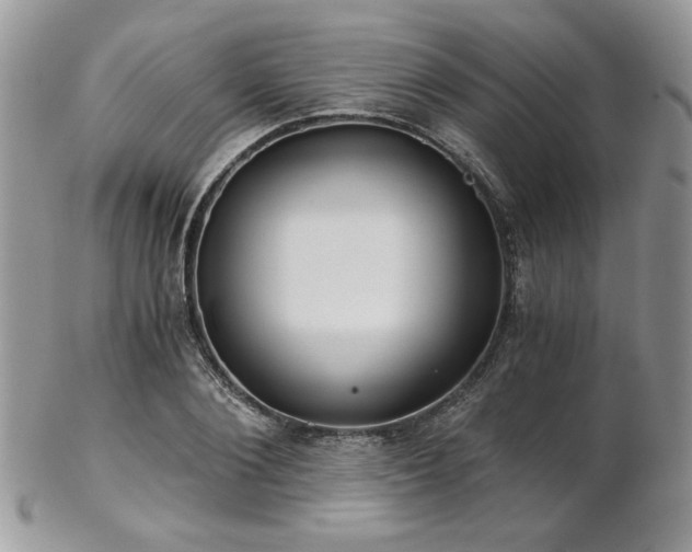 X0000102800884200808181158