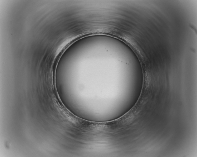 X0000102800886200808181158