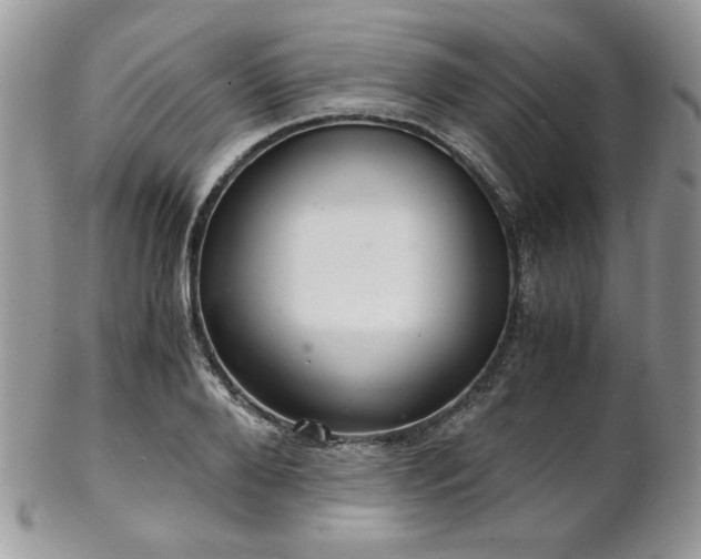 X0000102800888200808181158