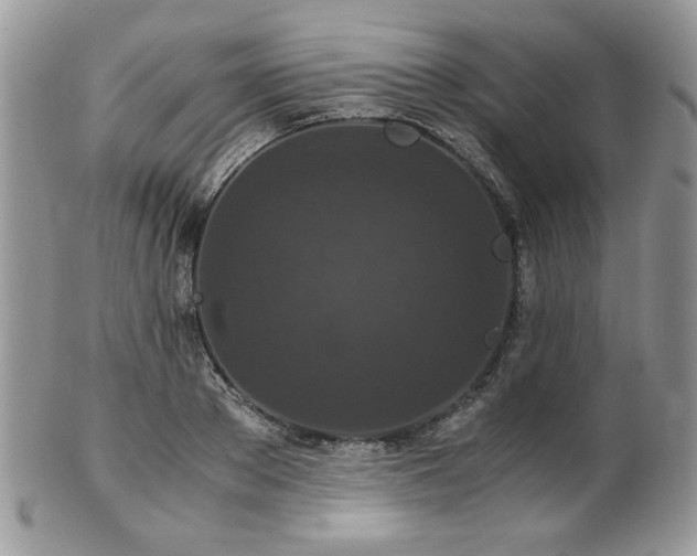 X0000102800889200808181158