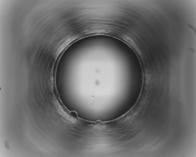 X0000102800890200808181158