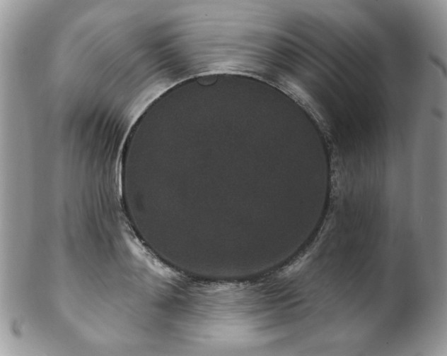X0000102800892200808181158