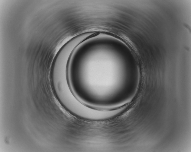 X0000102800893200808181158