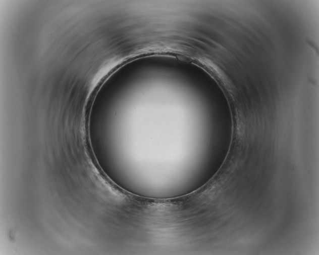 X0000102800894200808181158