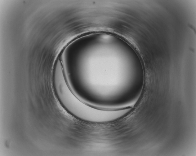 X0000102800895200808181158
