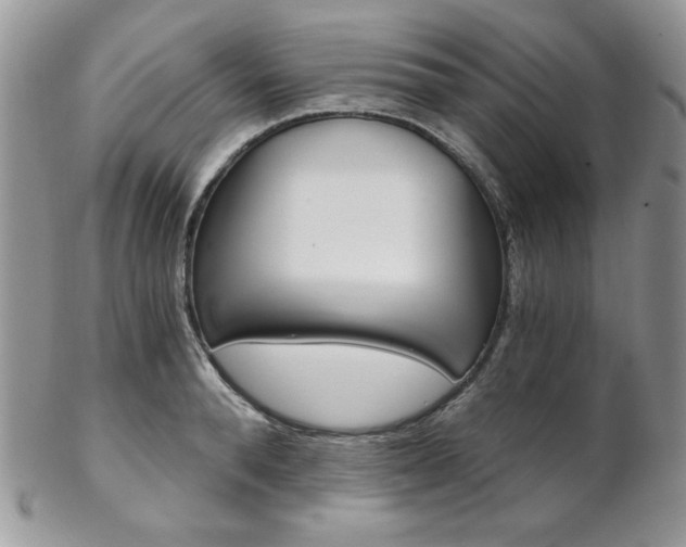 X0000102800896200808181158