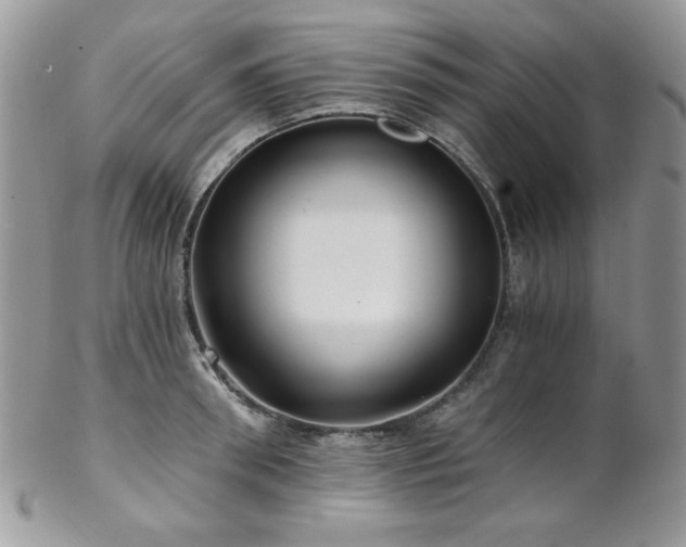 X0000102800898200808181158