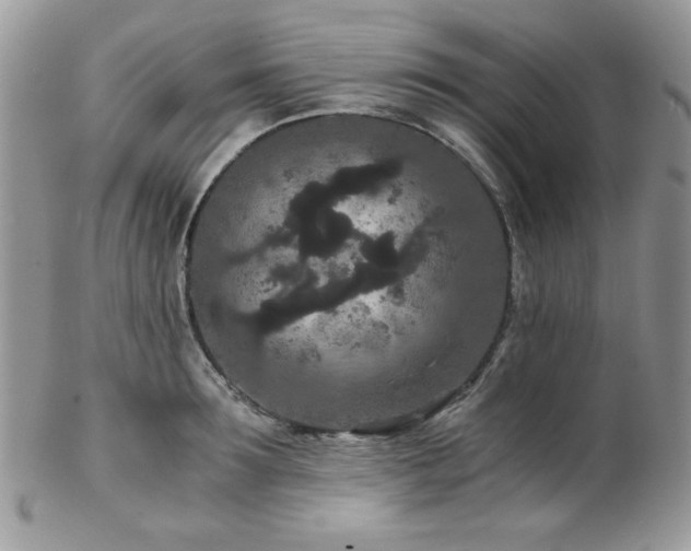 X0000102800899200808181158