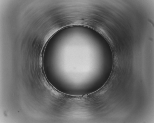 X0000102800900200808181158