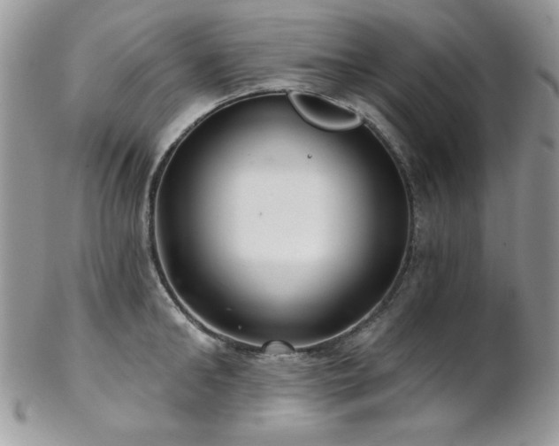 X0000102800902200808181158