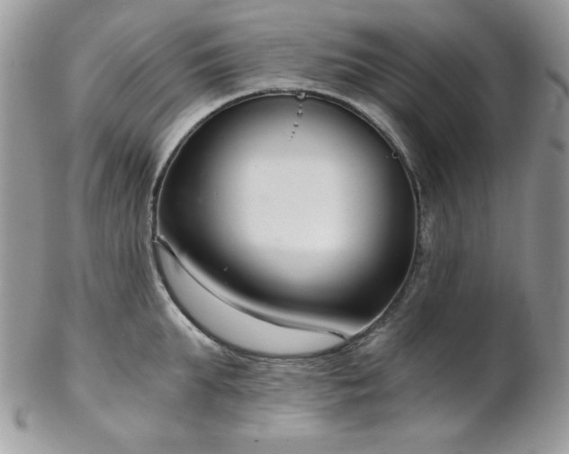 X0000102800903200808181158