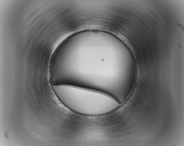 X0000102800904200808181158