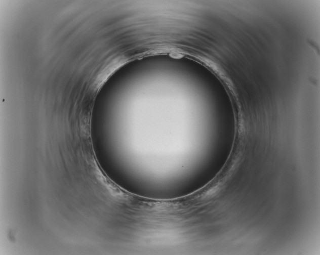 X0000102800905200808181158