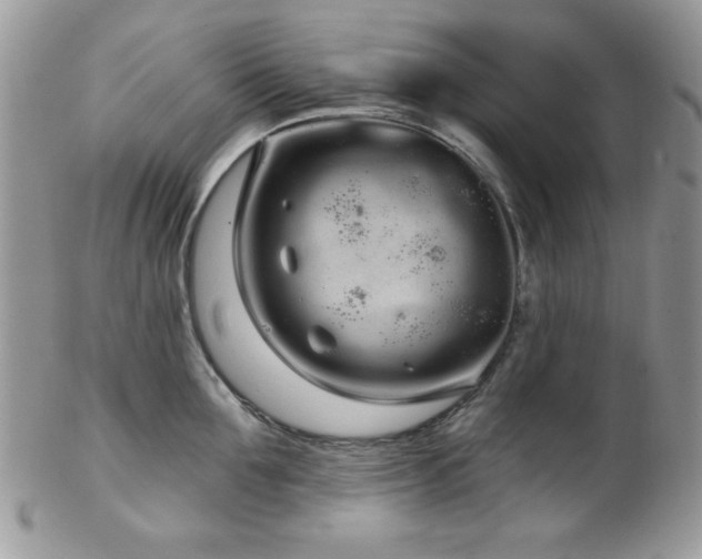 X0000102800907200808181158