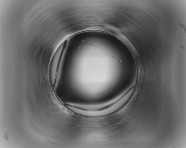 X0000102800908200808181158