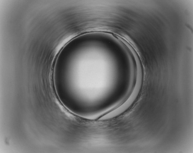 X0000102800909200808181158