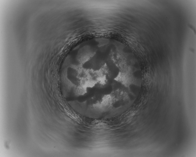 X0000102800913200808181157
