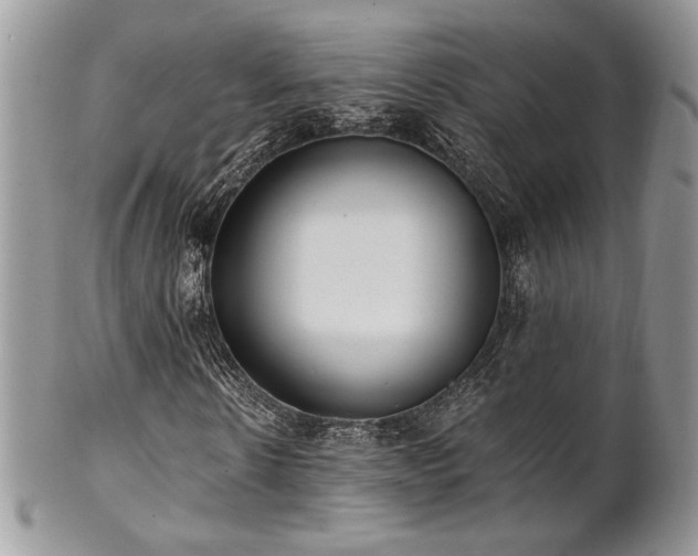 X0000102800914200808181157