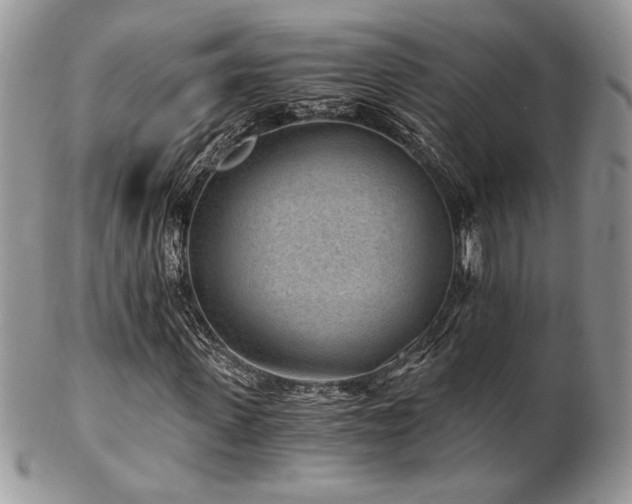 X0000102800915200808181157